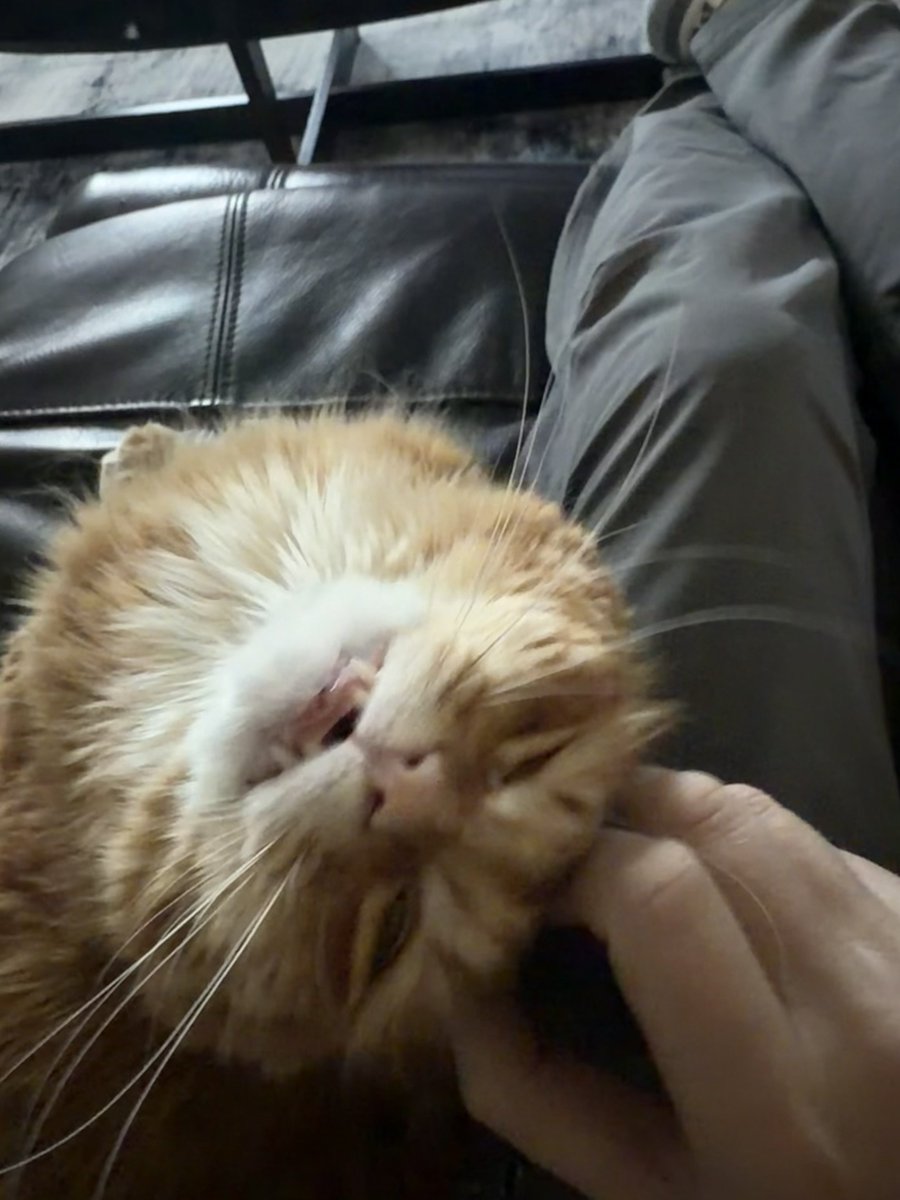 Update: he forgave me