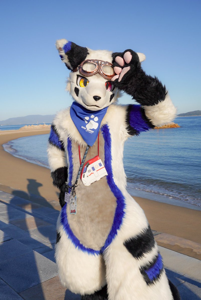 Island Adventure🏝️🥽

#FursuitFriday
#獣ヶ島
#けもがしま5
