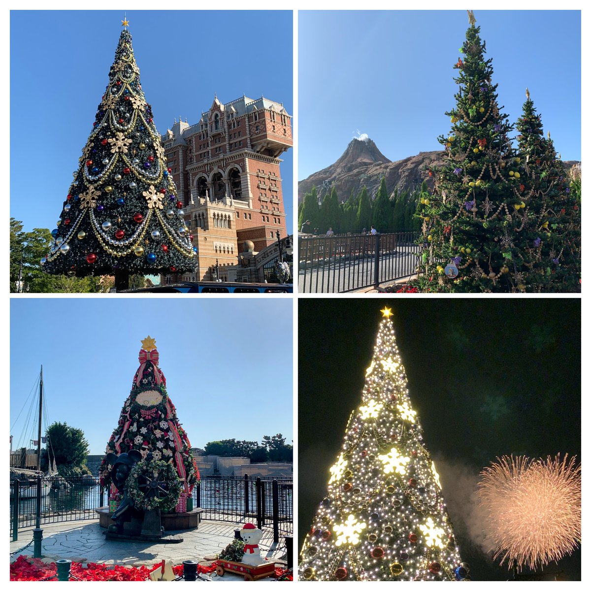 ディズニーシーのクリスマスツリー🎄✨