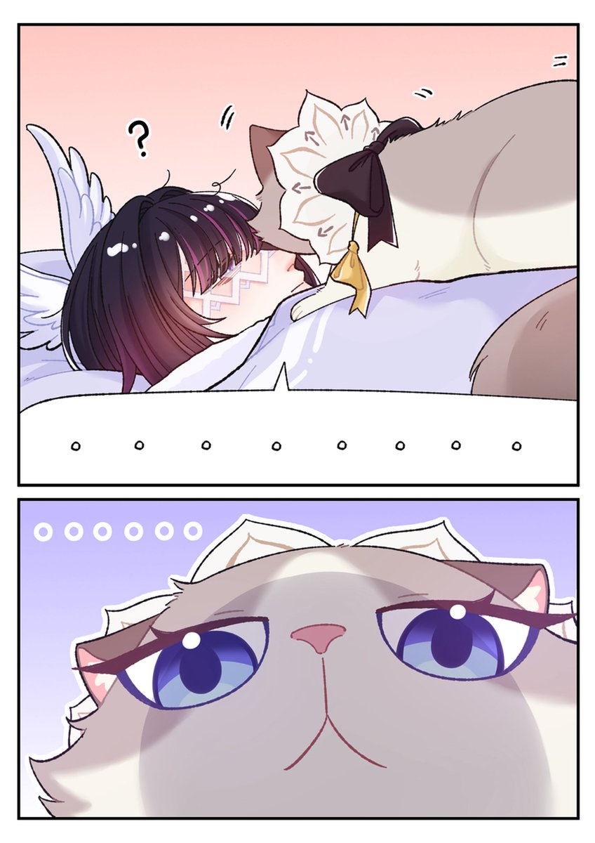 猫のモーニングコール~
コード：XXOJ58PM25HF
genshin.hoyoverse.com/ja/gift?code=X…
#原神 #genshinimpact #HoYocreators #genshinlove
#Columbina #コロンビーナ #傀儡 #サンドローネ #Sandrone