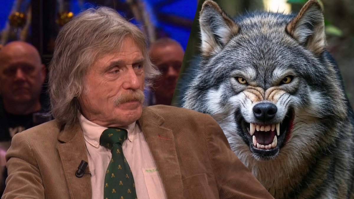 Johan Derksen over herdenking voor probleemwolf Bram: 'Dit land is gek aan het worden' vandaaginside.nl/nieuws/binnenl… #vandaaginside