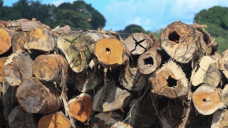 MPF pede cumprimento de decisão que obrigou fraudadores a pagar R$ 12,5 milhões e recompor área desmatada no Pará

📌 Notícia no site do MPF: mpf.mp.br/pa/sala-de-imp…