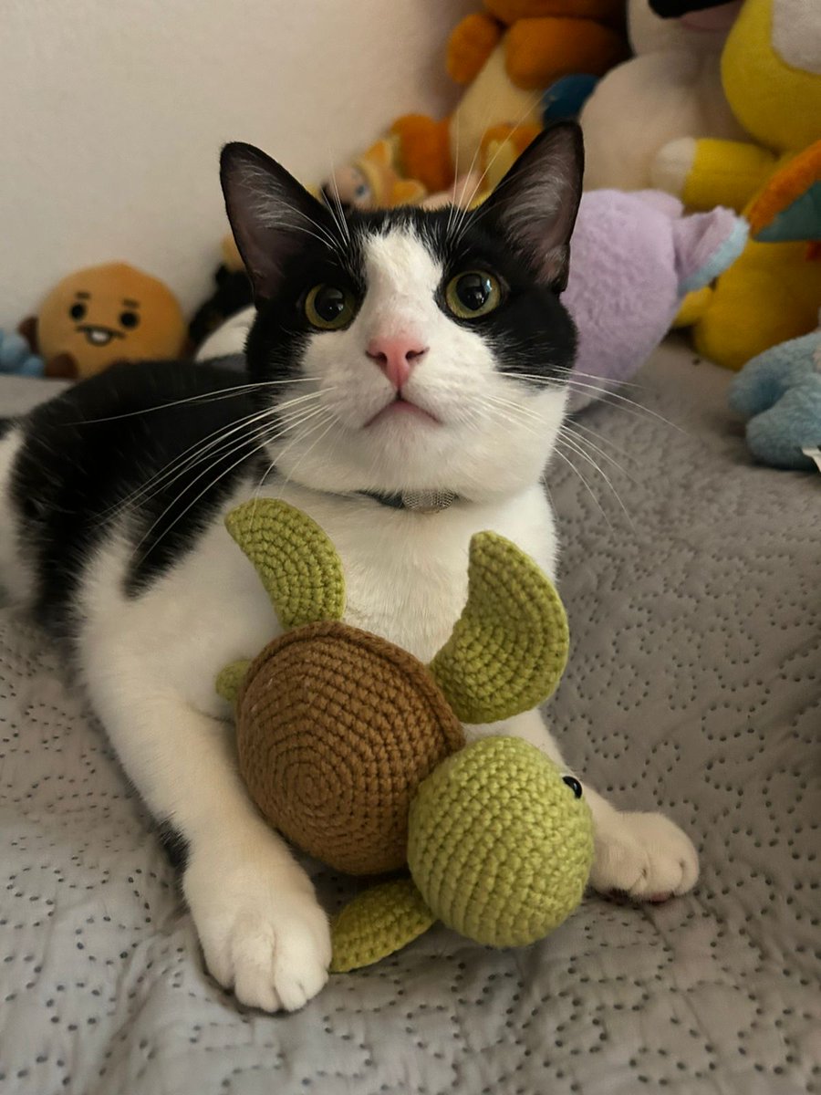 La Maquillista ®💄 tweet media