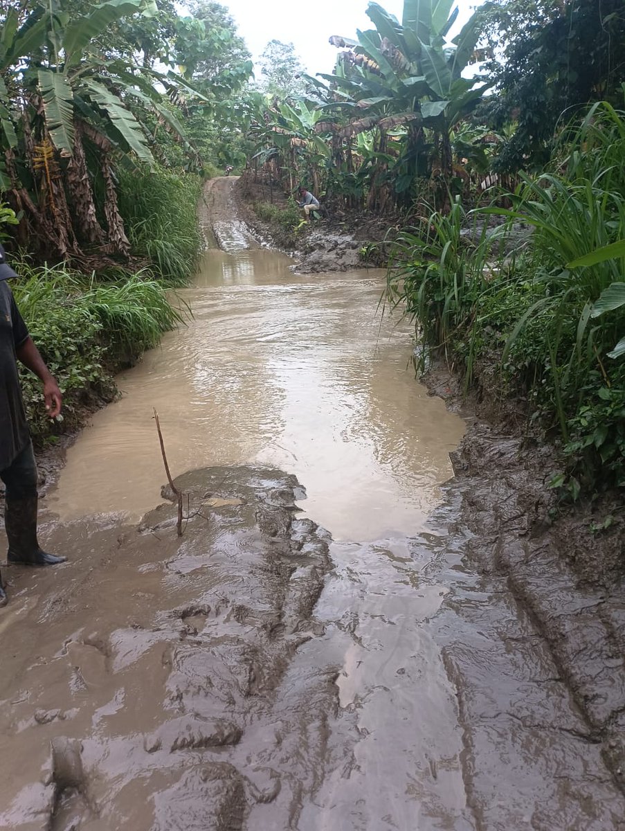 En los últimos días de este ciclo hemos tenido cualquier cantidad de dificultades para cumplir con nuestra misión las fuertes lluvias y vías cerradas.
A pesar de todas estas adversidades cumpliremos nuestras metas.
<a href="/Fedegan/">FEDEGAN</a> 
<a href="/jflafaurie/">José Félix Lafaurie</a> 
<a href="/plaguachicafng/">AGUACHICA PASIÓN GANADERA</a>
#ConstruyendoGanadería