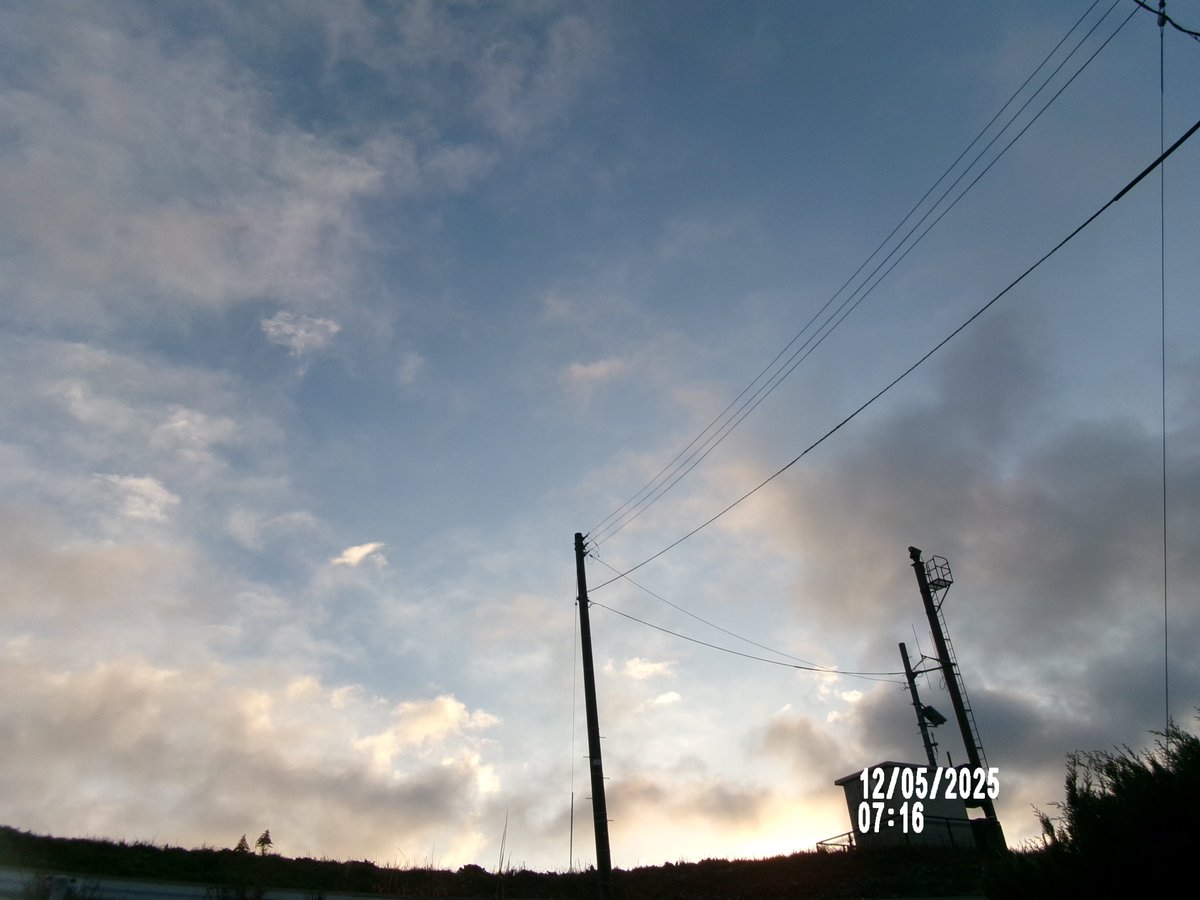 のりちゃんページ 愛知県 荒木海苔店「ぶっかけのりちゃん」 | おかわりJAPAN
