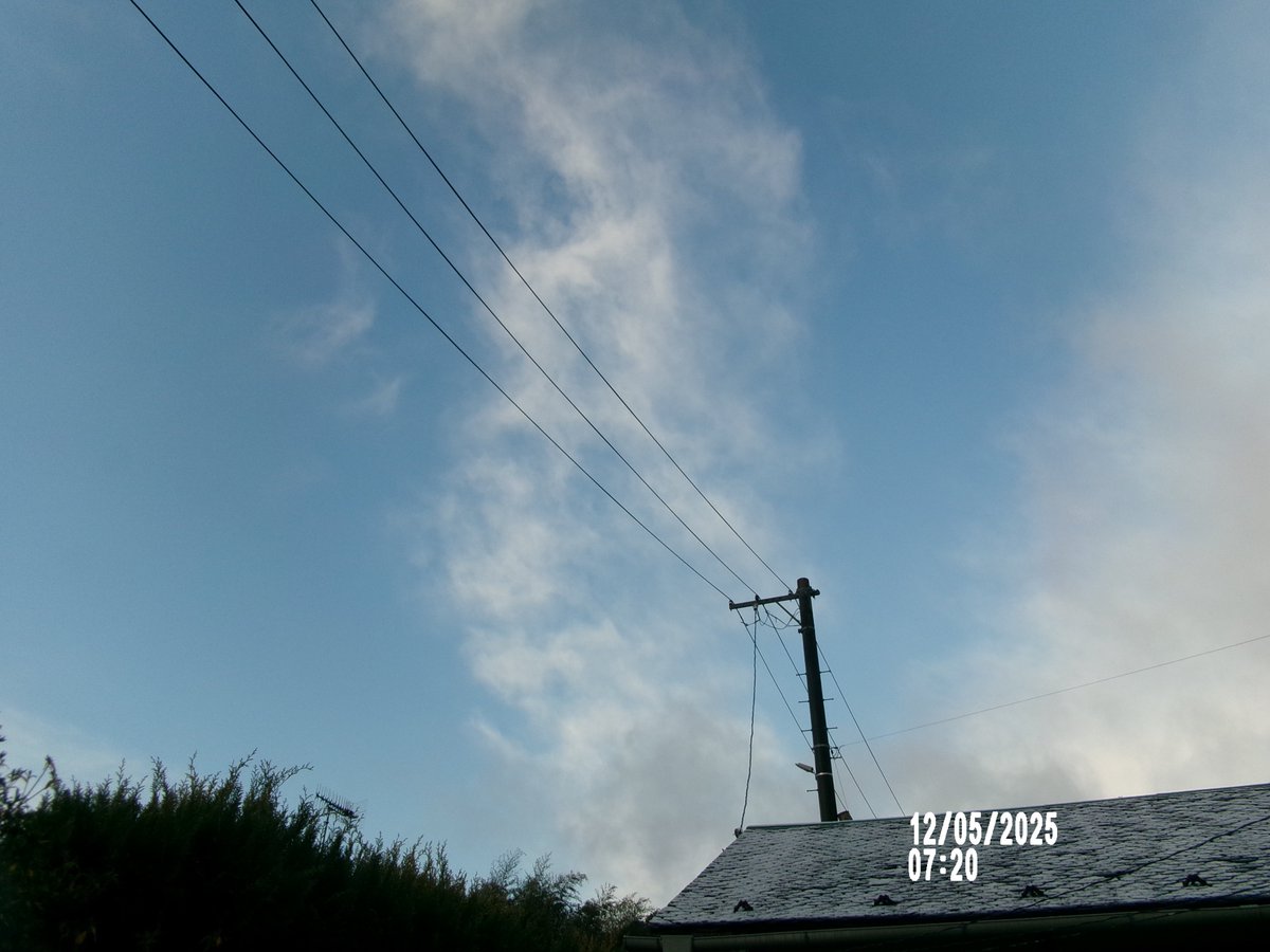 のりちゃんページ 愛知県 荒木海苔店「ぶっかけのりちゃん」 | おかわりJAPAN
