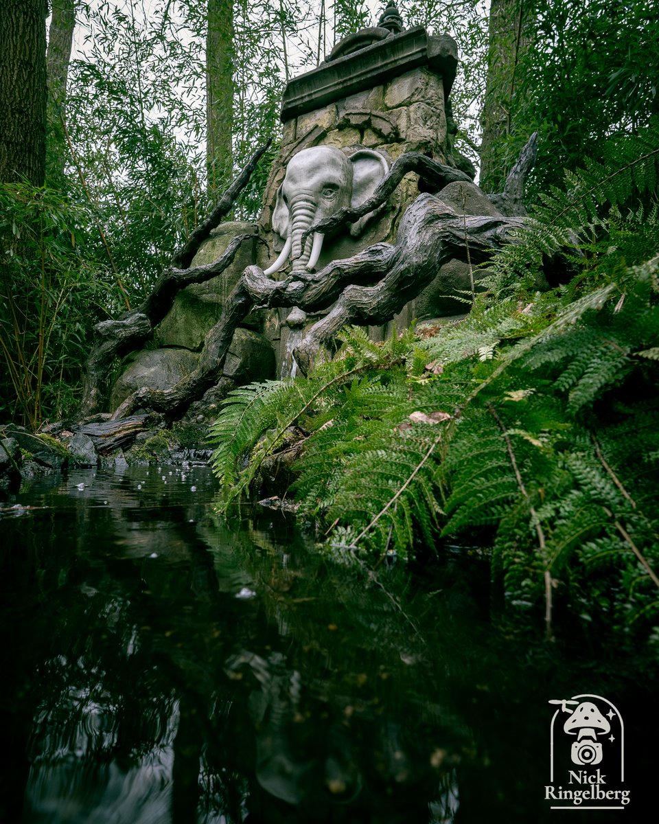 RingelbergNick's tweet photo. Een van de stilste bewoners van de Efteling: de olifantenfontein, verstopt tussen het groen. 🌿

#Efteling #EftelingFotografie #EftelingFans #olifant #sprookjesachtig #themeparks #themeparkphotography #pretpark #dagjeEfteling #magicofparks https://t.co/ZK7MLoWDTn