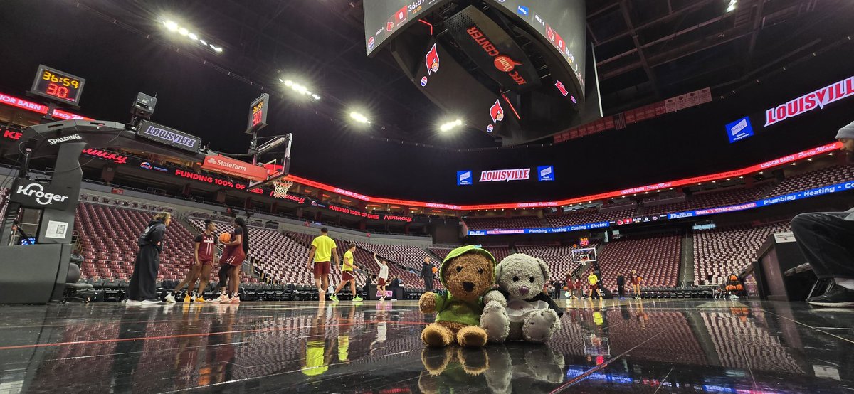 GAMEDAY!  <a href="/GamecockWBB/">South Carolina Women's Basketball</a> at <a href="/LouisvilleWBB/">Louisville Women’s Basketball</a> 7pm ESPN😊 #basketballbears🐻🏀🐻‍❄