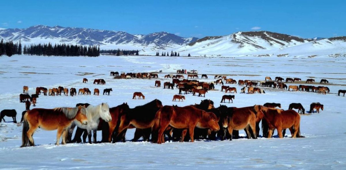 Өглөөний мэнд