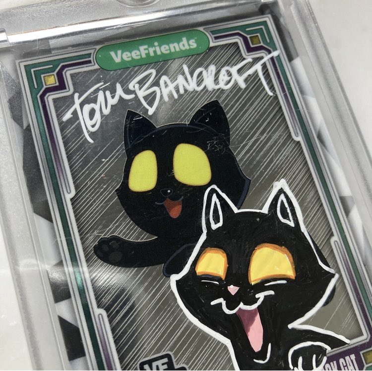 Unfortunately, I think I’m going to have to sell my Black Cat signed and sketched on by Tom Bancroft.  My son wants to go to Vietnam to help rehab kids in underprivileged communities and I want to help him pay for the trip.

Email me direct at drjay1k@gmail.com if interested.