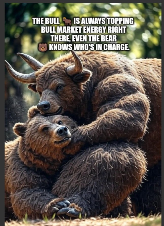 SirJoseph20xxiv's tweet photo. @QuidaxGlobal The Bear confirming the topping strength of the Bull💪💪💪

#BullsvsBears https://t.co/Ho230P6y0Y