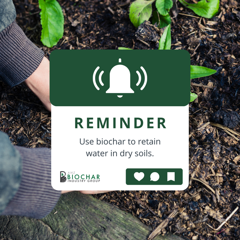 AAnzbig's tweet photo. Biochar’s porous structure helps soil absorb and store water for longer periods. 💧

In drought-prone areas, it keeps plants hydrated and reduces irrigation needs. This means healthier crops and better water efficiency. 

#ANZBIG #Biochar #biochar #bioenergy #carbondrawdown https://t.co/hSc9MWrIKG