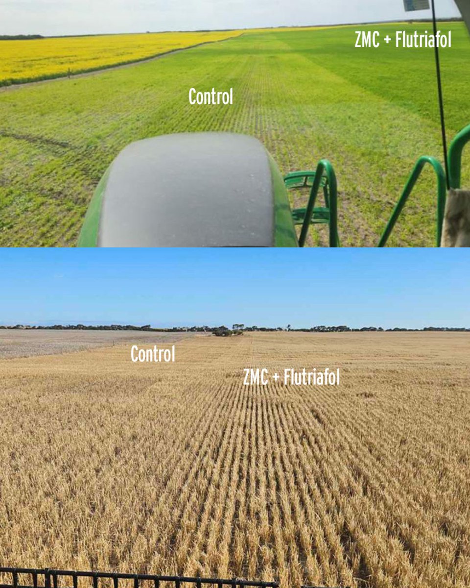 Liquid Systems (SA) tweet media