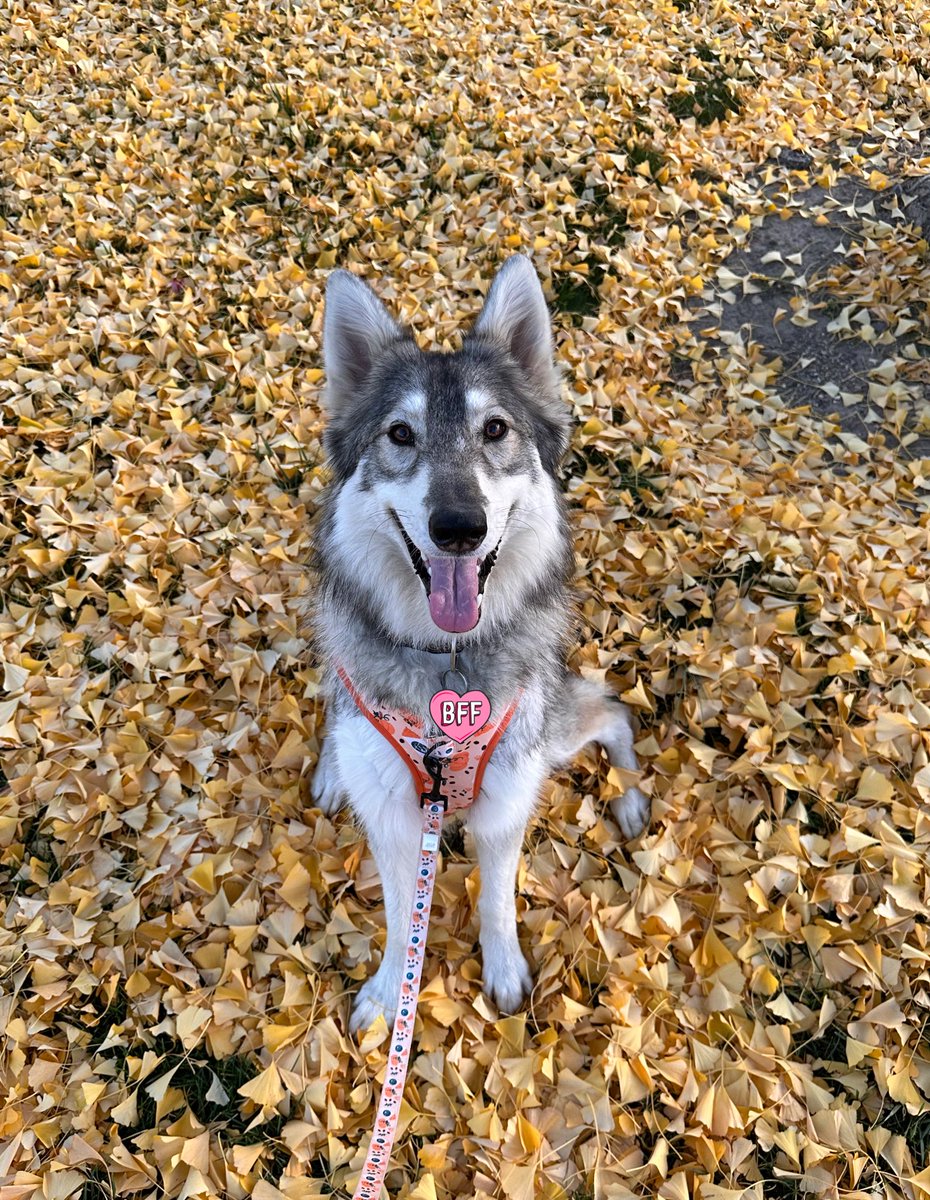 RILEY ✨ tweet media
