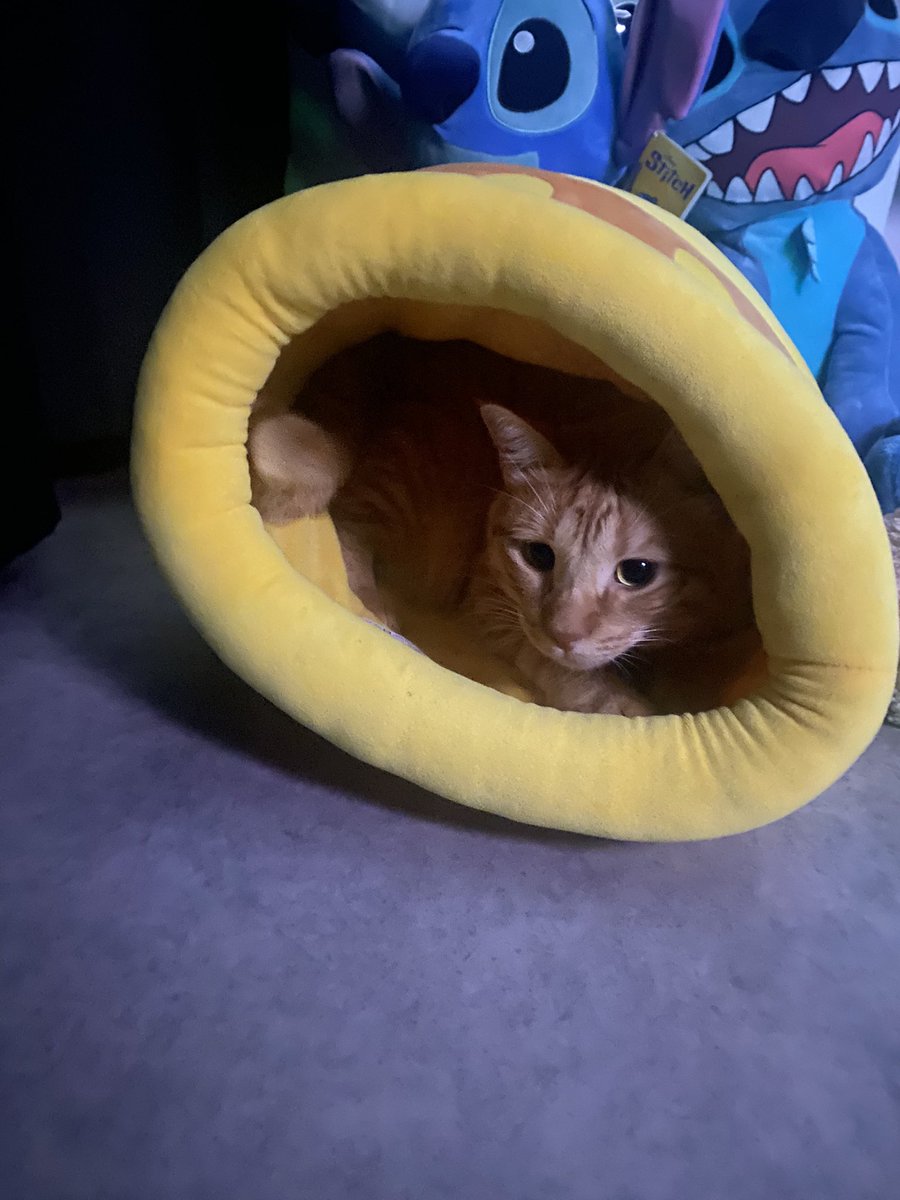 Toad_Beta's tweet image. 19 metų 🇱🇹🇱🇹🇱🇹🇱🇹🇱🇹🇱🇹🇱🇹🍻