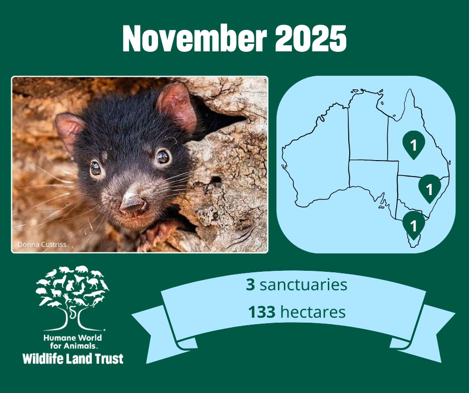 Wildlife Land Trust tweet media