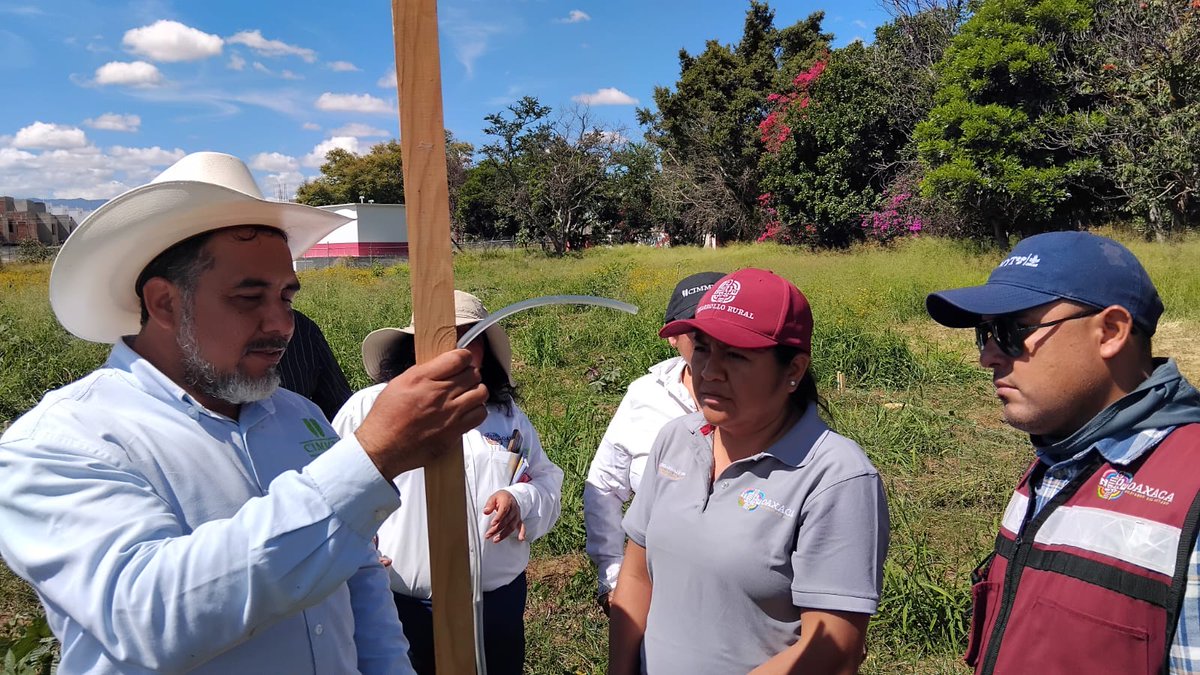 🔬 Formación para responsables de plataformas de investigación en <a href="/CIMMYT/">CIMMYT</a> y <a href="/SEFADER_GobOax/">SEFADER Oaxaca</a>.
Diseño experimental, análisis técnico y trabajo en campo para fortalecer la ciencia desde territorio.
#FloreceElCampoOaxaqueño