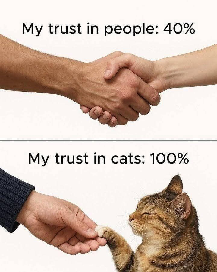 Yeti_Palms's tweet image. Fuck that. More like 10% for people.😂