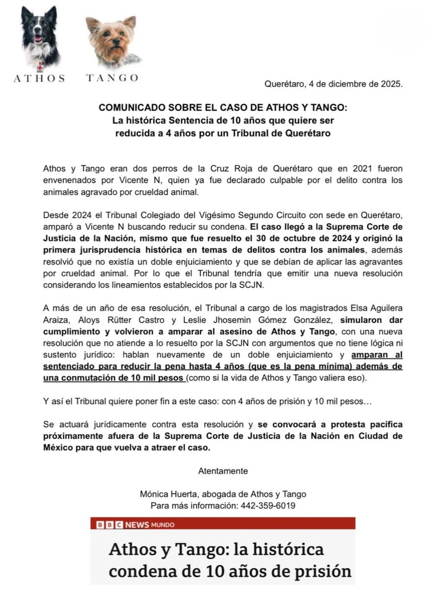 Comparto con indignación y profundo dolor lo que hoy pretende resolverse en el Tribunal de Querétaro respecto al caso de Athos y Tango, dos perritos que fueron cruelmente envenenados.

Como defensora del bienestar animal expreso con claridad mi indignación  con las