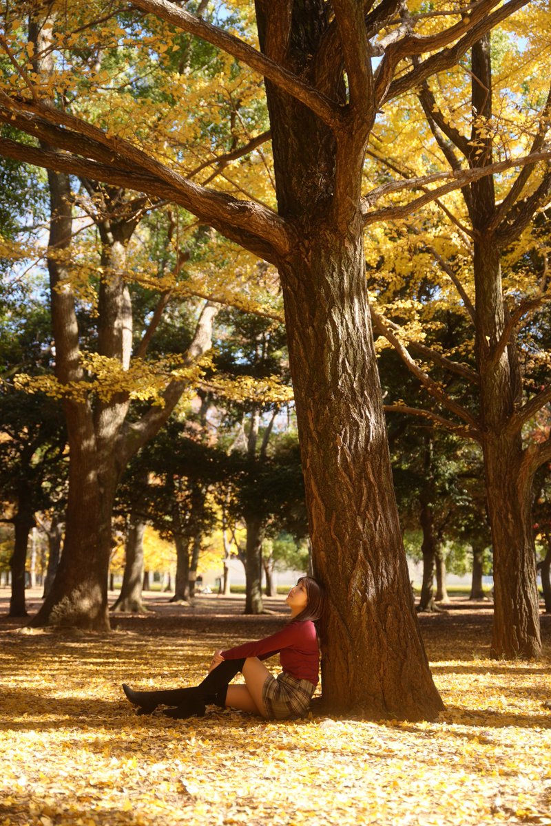 カレン tweet media