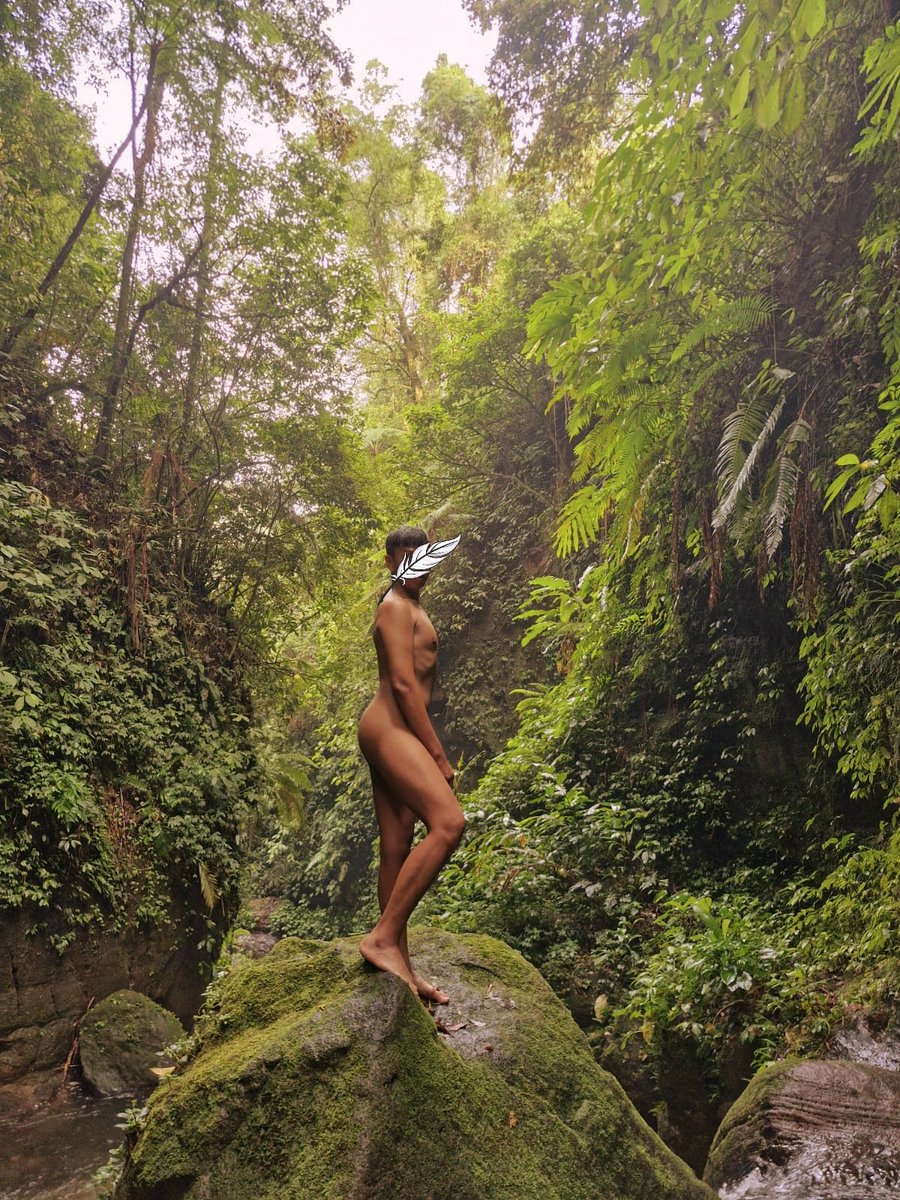 Green Web tweet media