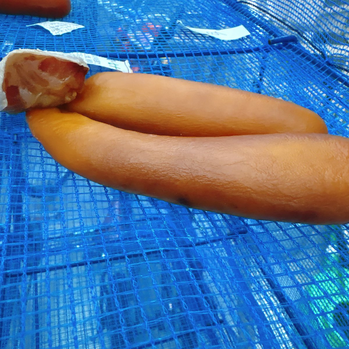 kakapiサラリーマンのゲーム休憩室 tweet media