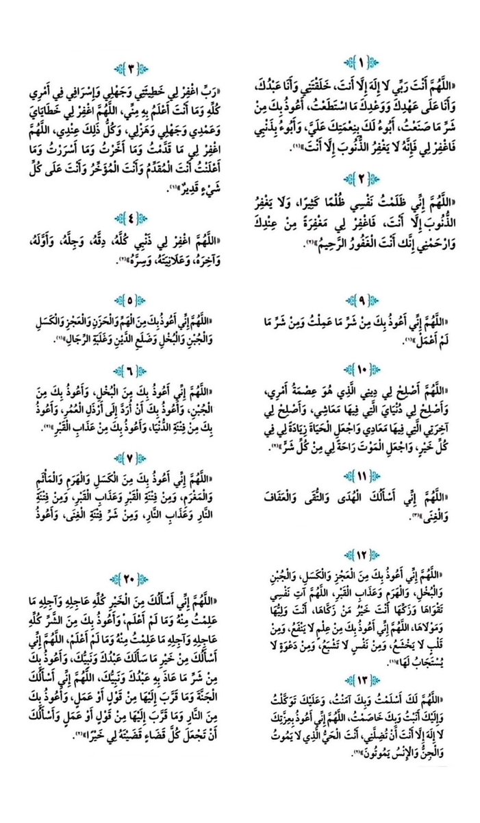 منبه الحوقلة tweet media