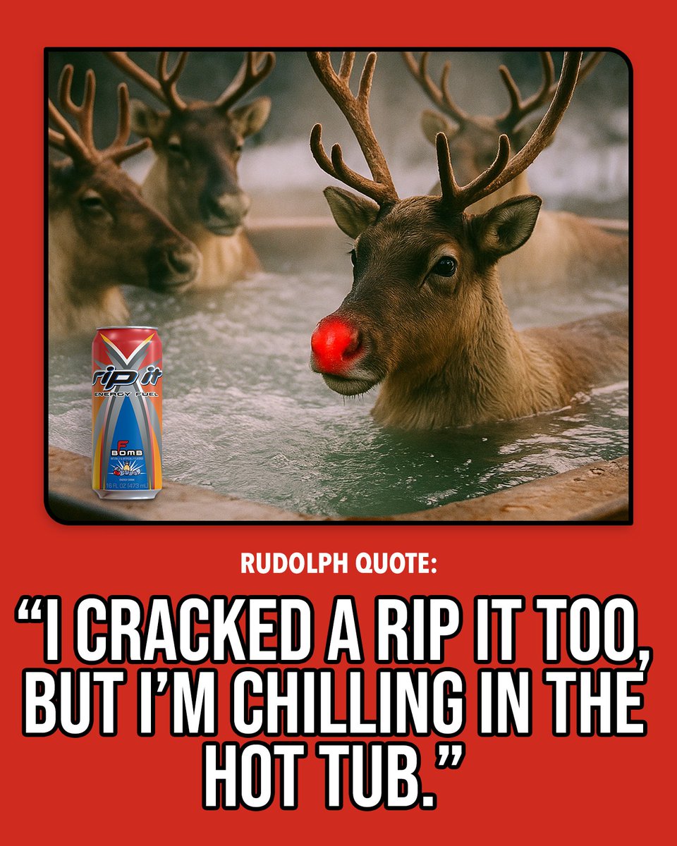 Santa really told Rudolph, "I got it from here" 🤣🤣