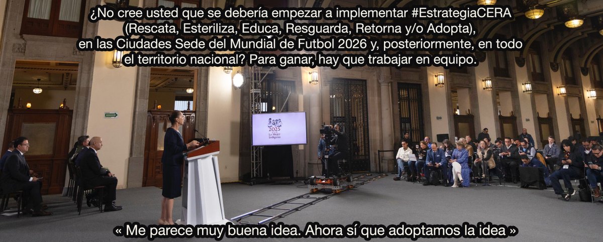 Excelente oportunidad para que México en #Mundial2026 exporte al mundo la imagen de un país que trata con ética, ciencia y consciencia una problemática global: la sobrepoblación de perros y gatos #EstrategiaCERA

<a href="/ACD_canal/">Animales con Derechos</a> 
#Mundial2026 

👉goo.su/F3YgT