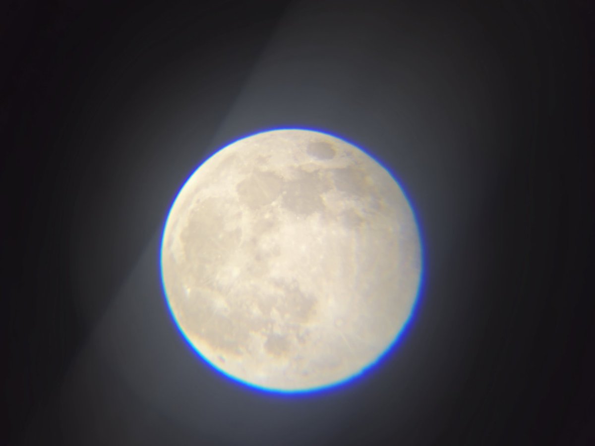 David Wait tweet media