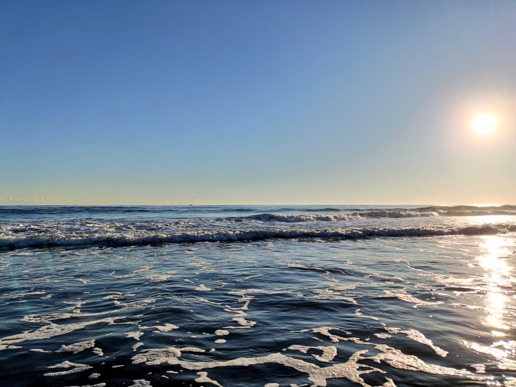 朝練#49終了、ホゲ😩
晴れ、弱い追風、凪、鳥無し、寒い！シーバスっぽいバラシ１のみ。