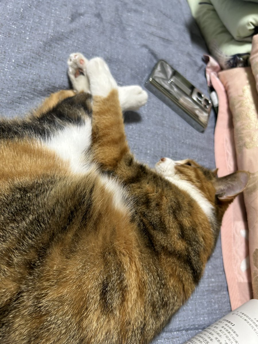 eff2ryl🩵 tweet media