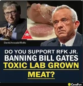 DisrespectedThe's tweet image. Absolutely.