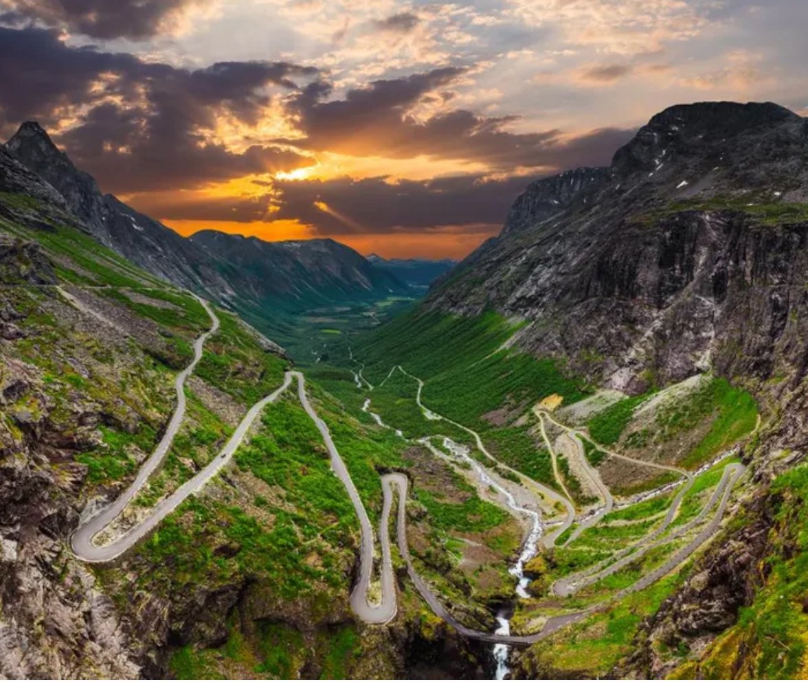 Michael Fink 💛💙 tweet media