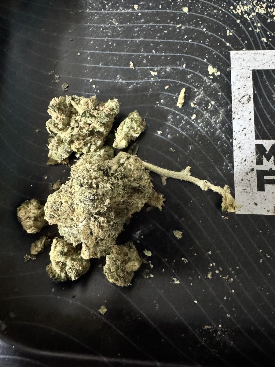 GDPDreamz tweet media