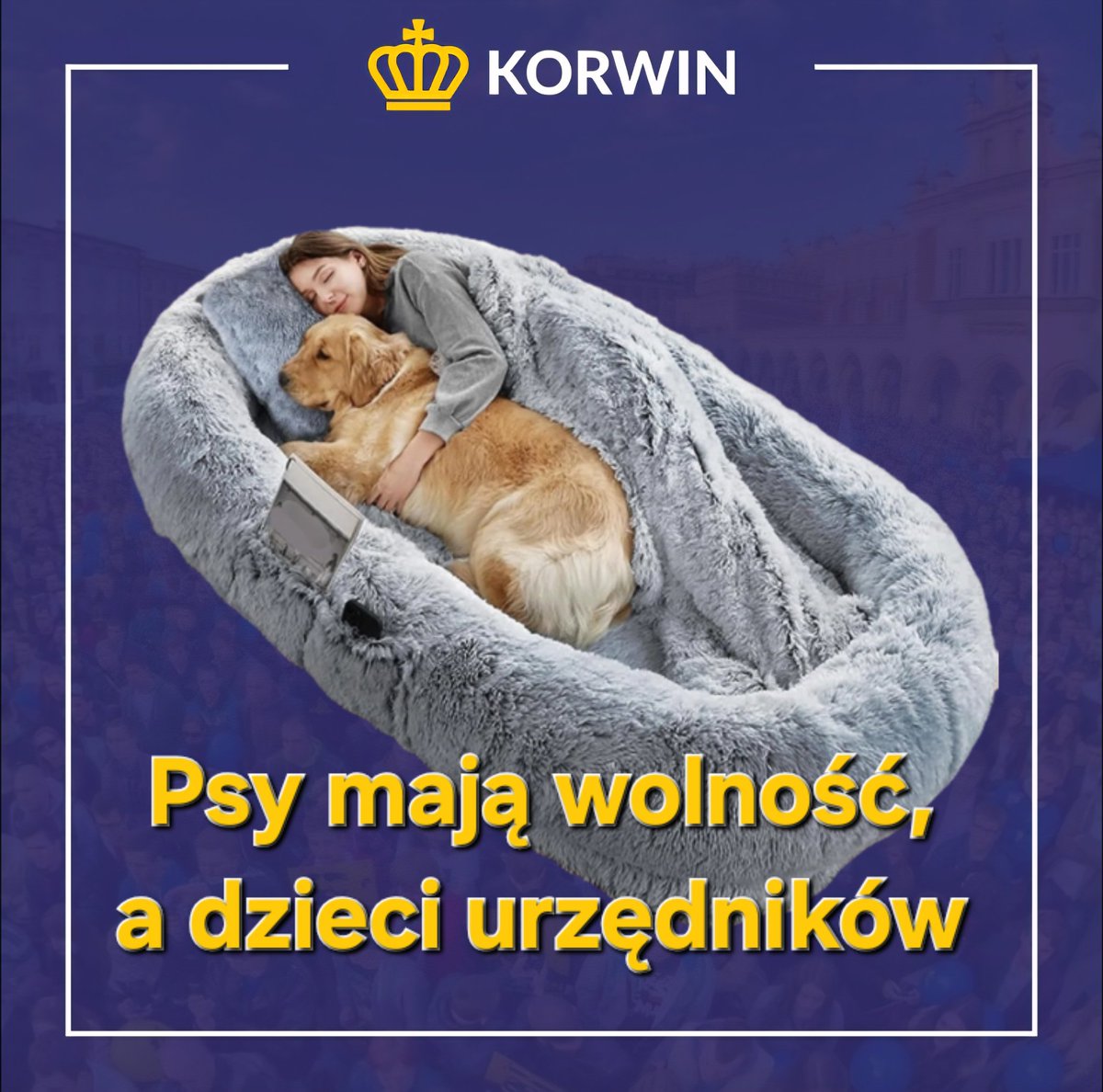 KORWiN_JKM's tweet photo. W Polsce jest 7 milionów dzieci i aż 8 milionów psów. Dlaczego? Dlatego, że państwo nie wtrąca się (na razie dzięki wetu Prezydenta) w sposób wychowywania i leczenia naszych pupili. Natomiast wychowanie własnych dzieci jest obwarowane wieloma zakazami i nakazami. Poza tym wszyscy doskonale wiedzą, że upadająca służba zdrowia już niedługo przestanie świadczyć usługi na rzecz Polaków.
1. ​Pełna prywatyzacja lecznictwa, podobnie jak w przypadku weterynarii.
2. ​Oddajmy dzieci rodzicom - państwo łapy precz!
#Wolność #KORWiN #Dzieci #psiecko