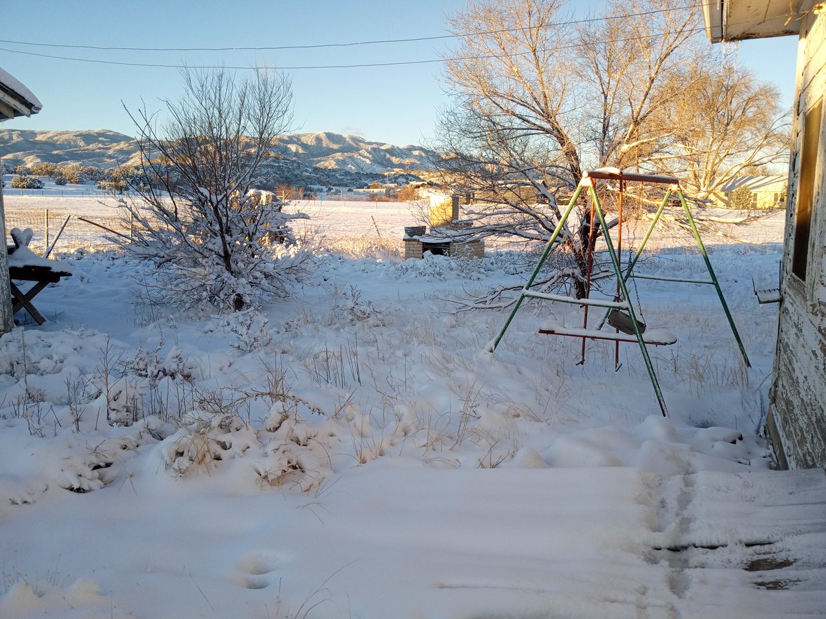 BrooksideRaider's tweet image. Just outside my back door this AM. We got about 6-7" of  snow from Tuesday night throughout all day Wednesday.  These are just west of my house.