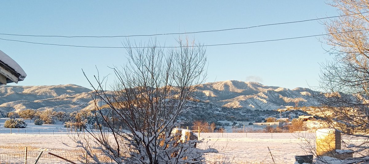 BrooksideRaider's tweet image. Just outside my back door this AM. We got about 6-7" of  snow from Tuesday night throughout all day Wednesday.  These are just west of my house.