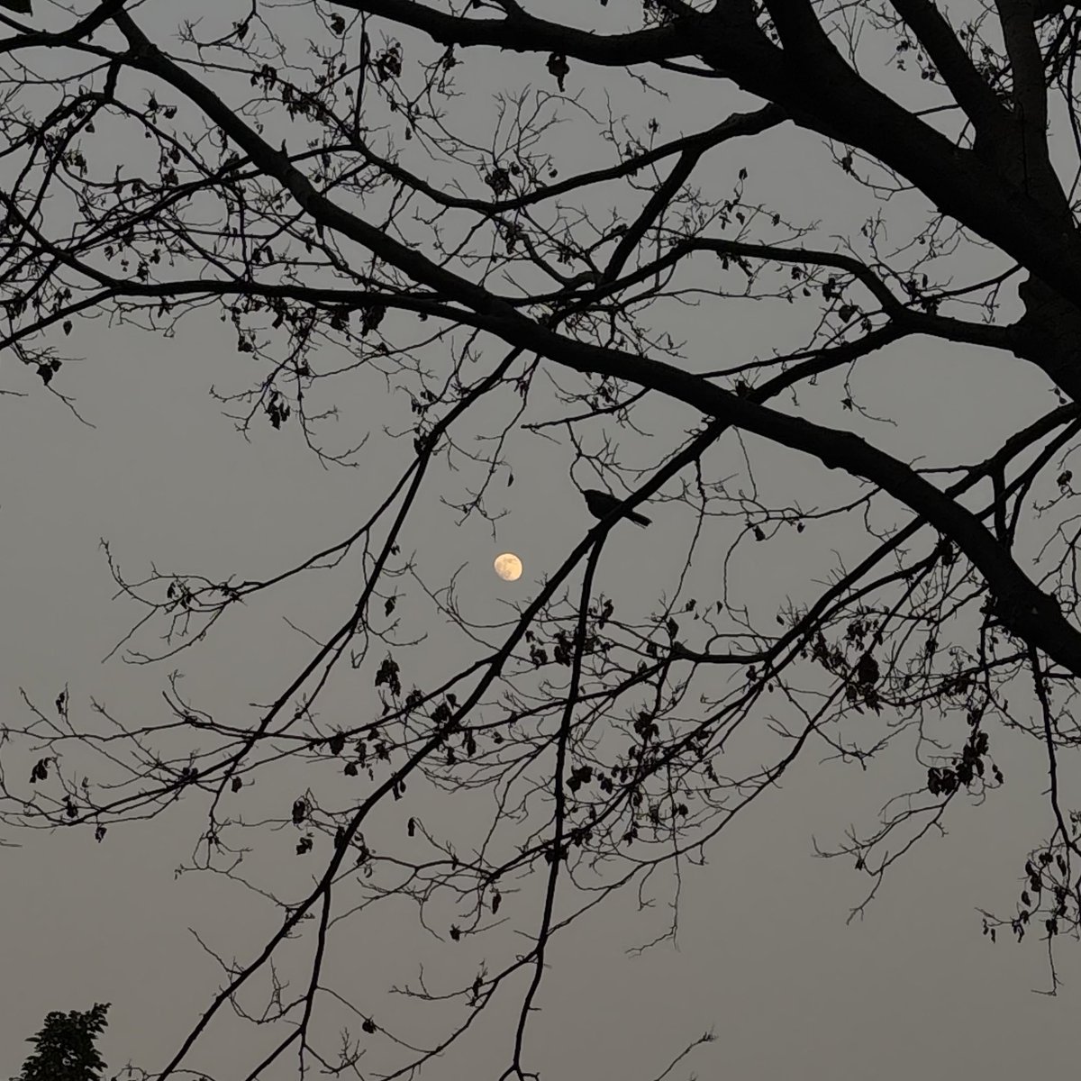 لايَضُرُّكَ شيءٌ مِنَ الفُقدَانِ، مَا لم تفْقِد مقامَكَ عنِدَ الله

Tidak ada suatu kehilangan yang akan menyakitimu, selama kamu tidak kehilangan kedudukan disisi Allah… 

— Maulana Jalaludin Rumi