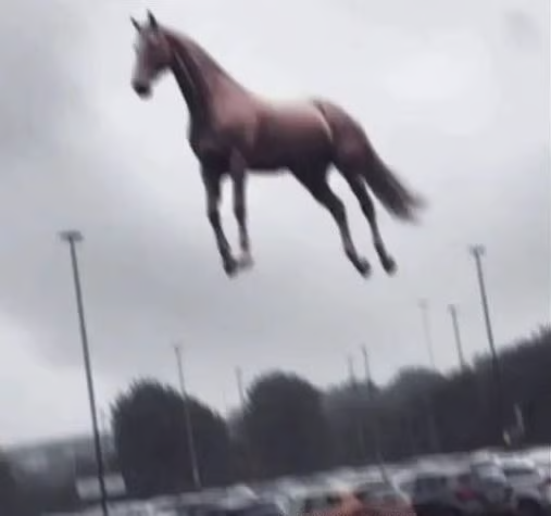 /VENTARDIO_LEVIOSA

$horse