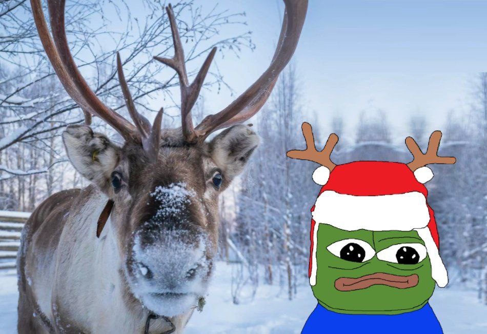 Do you hab any candy canes