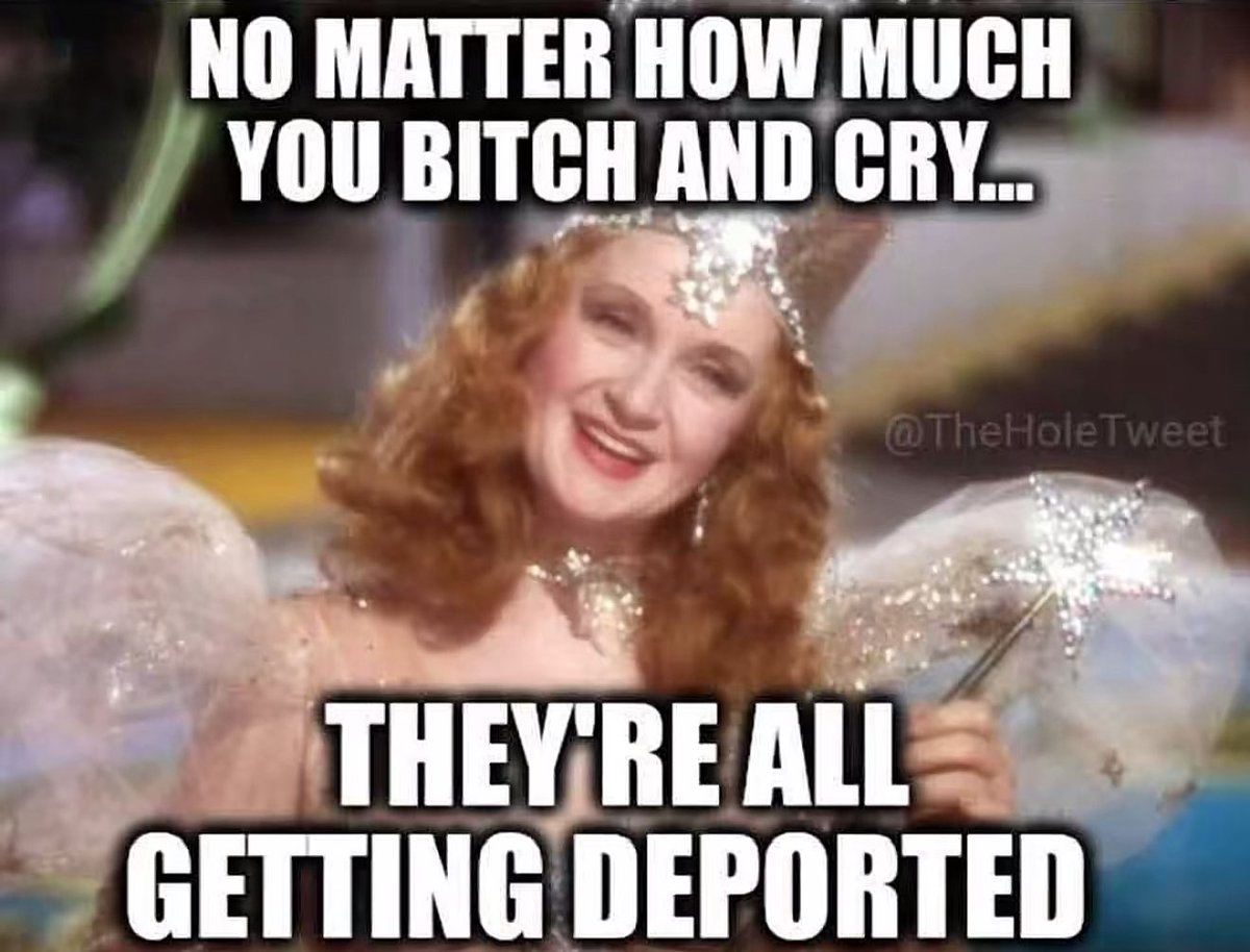 LibTearCreator1's tweet image. Are you ok with this?