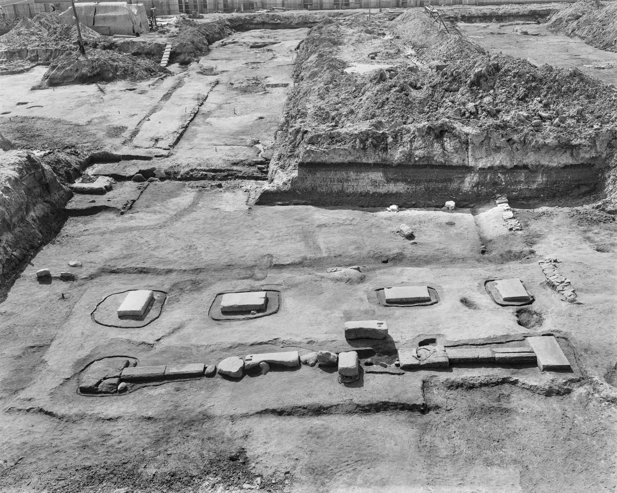 #平城宮跡資料館 冬期特別展「#尼寺造営」では #奈文研 による発掘調査の成果によってあきらかになった #西隆寺 の造営に関する歴史を紹介しています✨
国の #重要文化財 に指定された #西隆寺跡出土木簡 は1971年に東門跡(写真手前は門の礎石)の近くで見つかった土坑からまとまって出土しました🪷