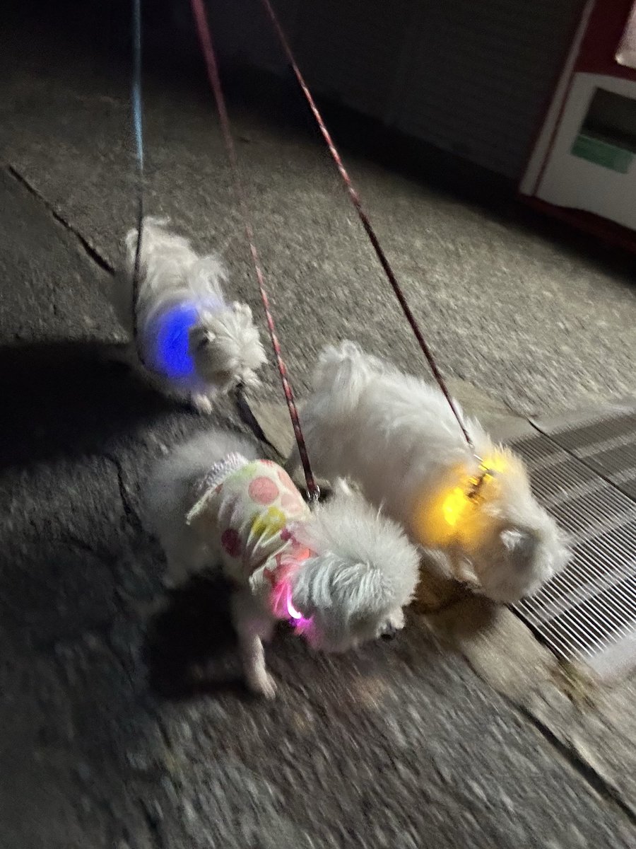 ハルくん (@9Z8lquSv8B3FMpN) / Posts / X