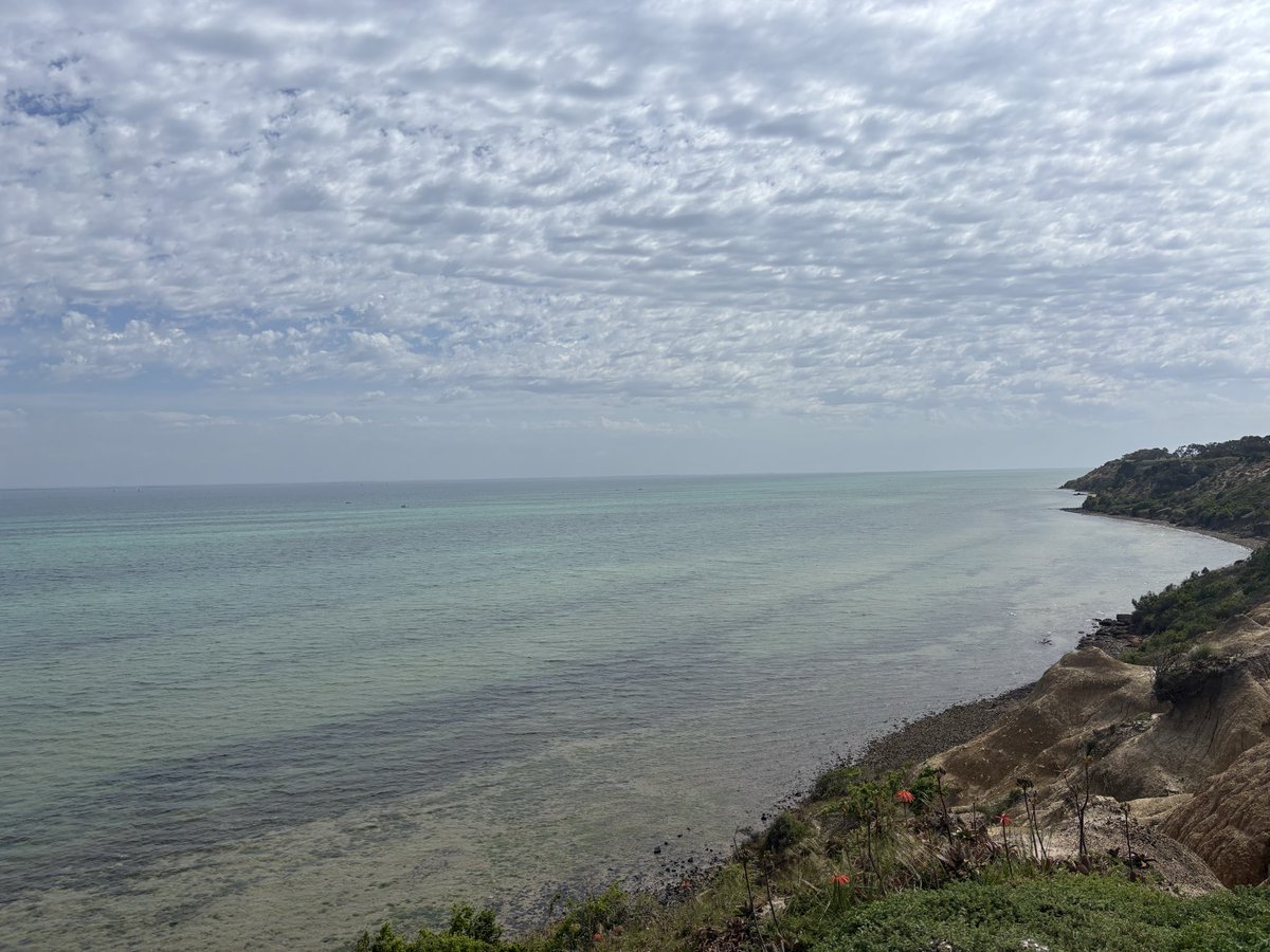 Rachel⤴️ tweet media