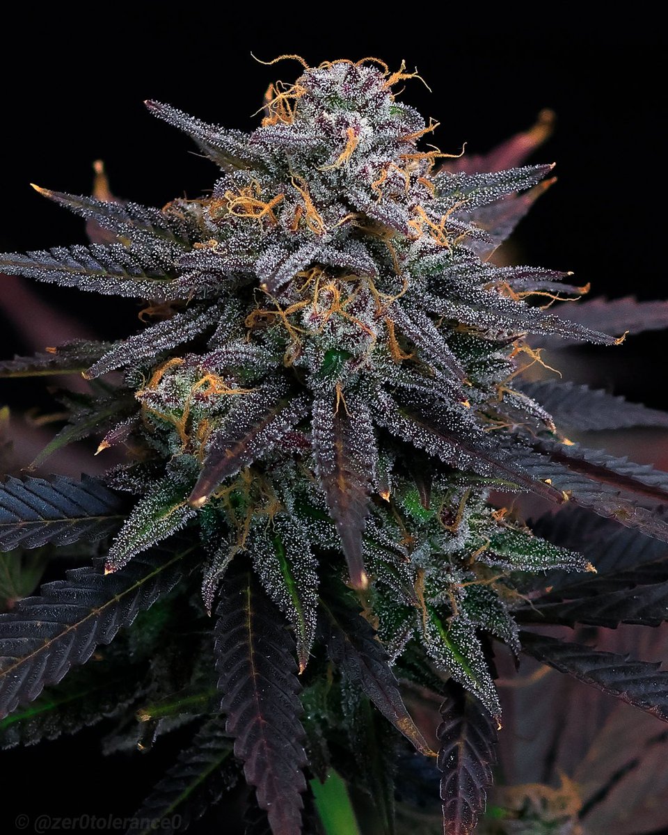 A little bit closer now