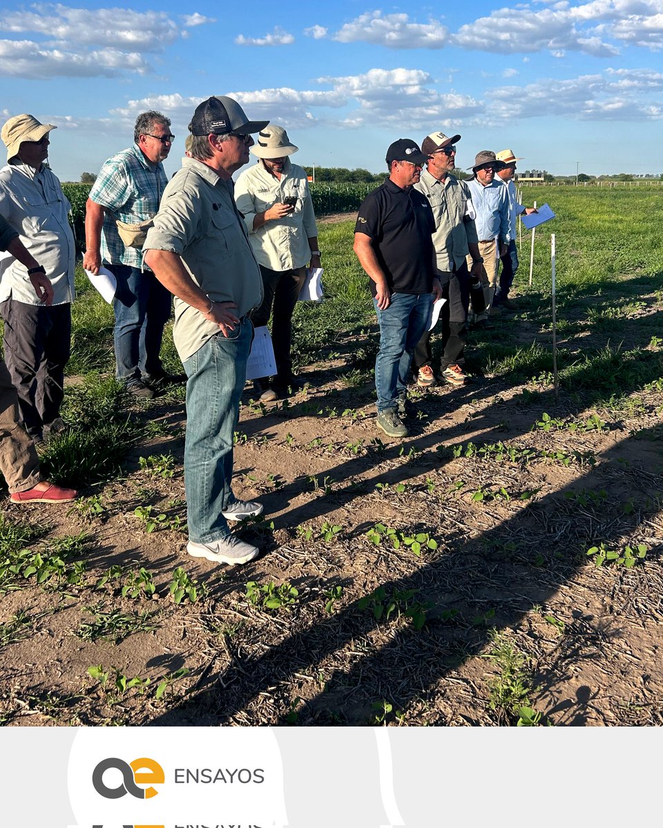 Recibimos 🙌  la visita del equipo global de UPL 🌐.

 ✅ En el Campo Experimental Lares, nuestra usina de datos, recorrimos 🌿 ensayos de herbicidas en soja y maíz. 

💬 ¡Un gran encuentro!