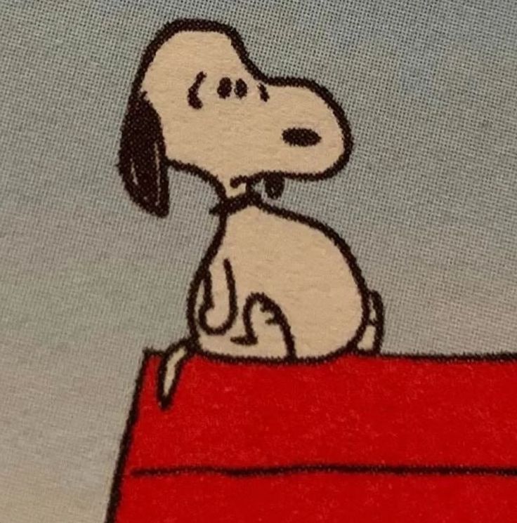 Snoopy 👀