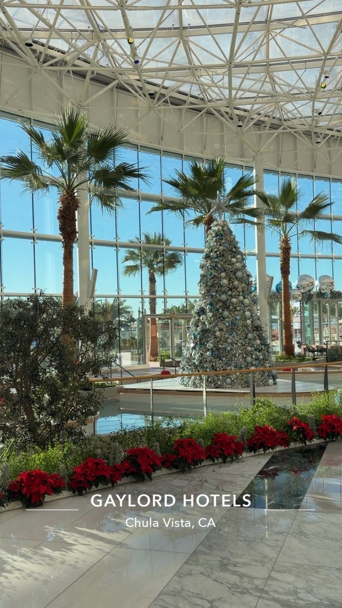 Matthew King tweet media