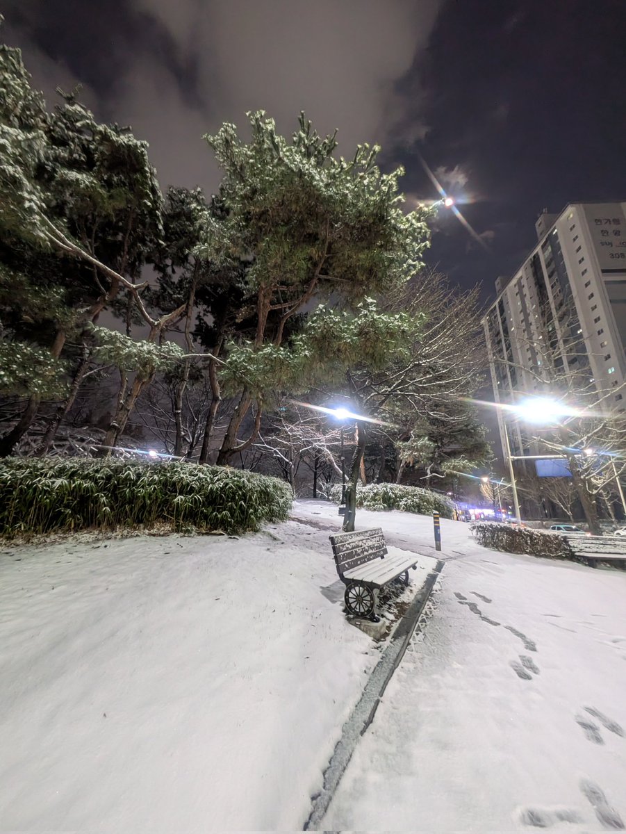 agfeagfe's tweet photo. Snow beauty. https://t.co/ns4FVlGJTb